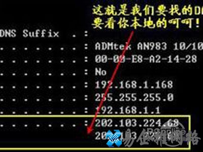 设置DNS