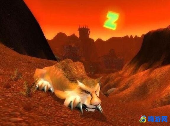 魔兽世界猎人宠物推荐(魔兽世界猎人稀有宠物大全)
