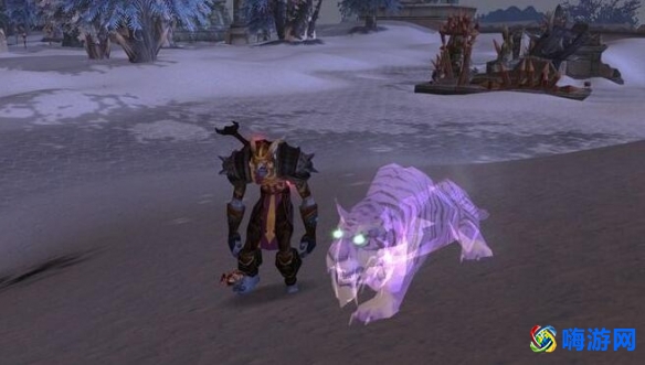 魔兽世界猎人宠物推荐(魔兽世界猎人稀有宠物大全)