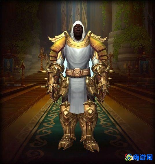 魔兽世界板甲幻化好看的种族(魔兽世界板甲幻化套装排名)