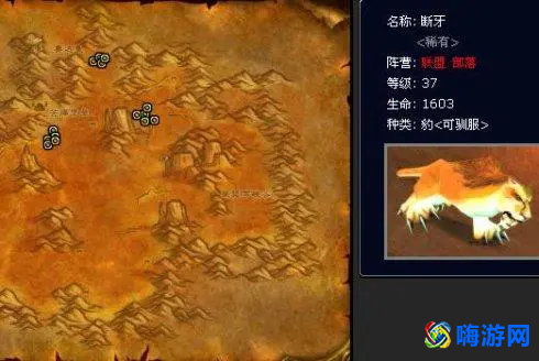 魔兽世界猎人宠物推荐(魔兽世界猎人稀有宠物大全)
