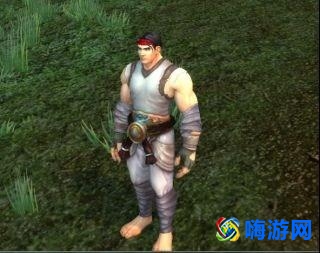 魔兽世界武僧幻化套装(魔兽世界武僧幻化怎么获得)？