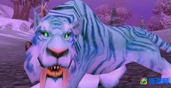 魔兽世界猎人宠物推荐(魔兽世界猎人稀有宠物大全)
