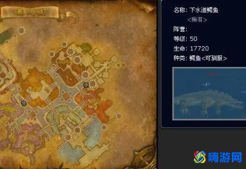 魔兽世界猎人宠物推荐(魔兽世界猎人稀有宠物大全)
