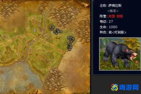 魔兽世界猎人宠物推荐(魔兽世界猎人稀有宠物大全)