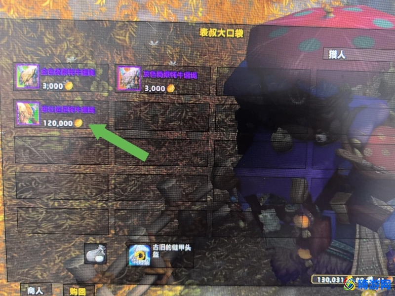 魔兽世界牦牛坐骑哪里买(魔兽世界牦牛坐骑多少金)？