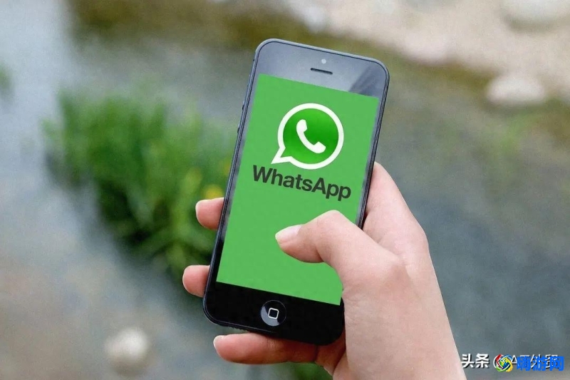 whatsapp是什么软件(whatsapp中文叫什么)？