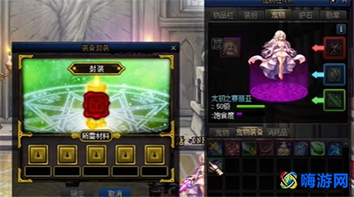 dnf宠物装备怎么封装(dnf宠物装备优先顺序)？