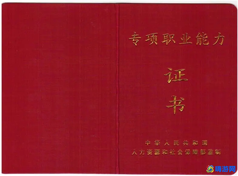 技能等级有哪些(技能等级证书是什么)？