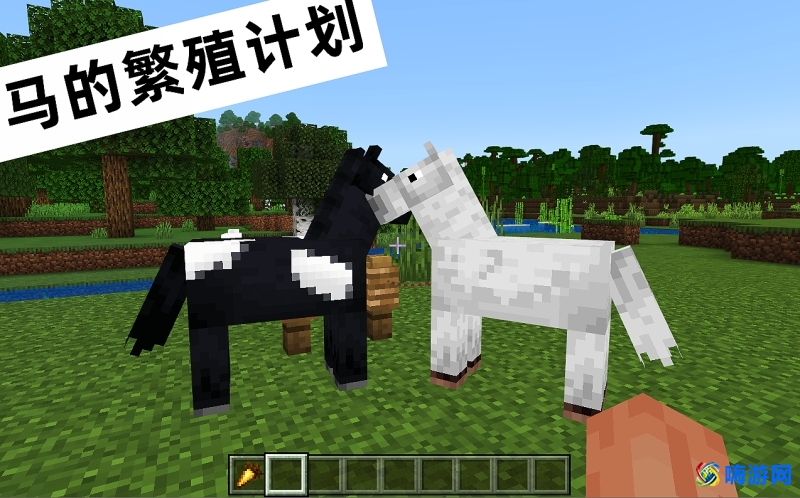 我的世界马怎么繁殖(我的世界马吃什么)？