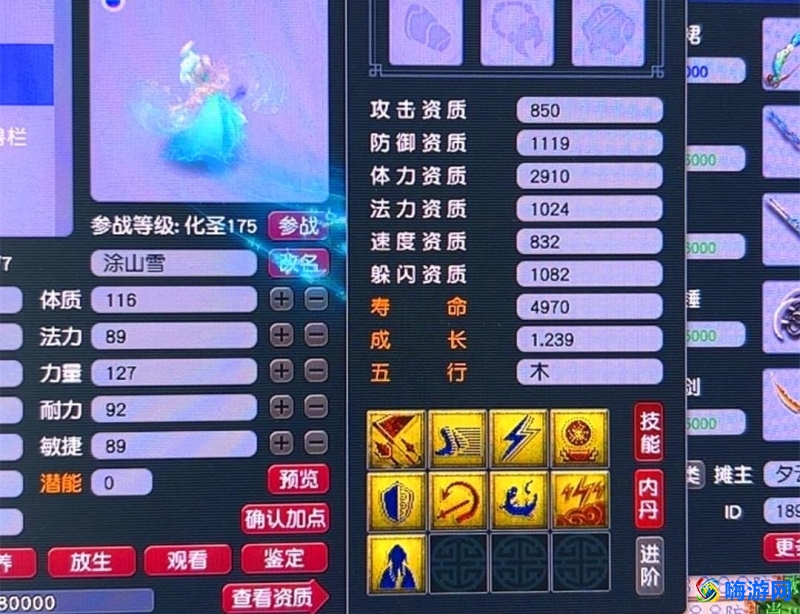 梦幻西游种摇钱树苗技巧(梦幻西游种摇钱树要多少体力)？