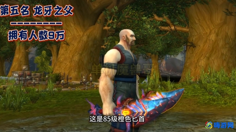 魔兽世界十二把橙武合集(魔兽世界十二把橙武排名)