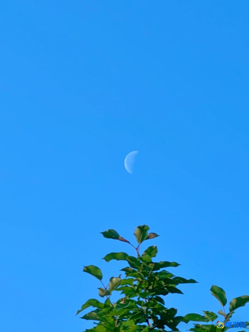 拍照教程从零开始学(华为手机专业拍照教程)