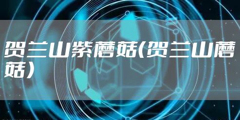 贺兰山紫蘑菇（贺兰山蘑菇）