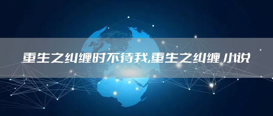 重生之纠缠时不待我,重生之纠缠 小说