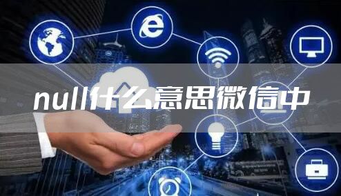null什么意思微信中