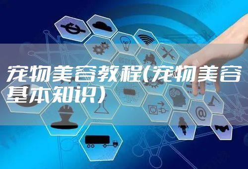 宠物美容教程（宠物美容基本知识）