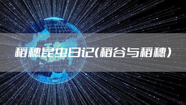 稻穗昆虫日记（稻谷与稻穗）