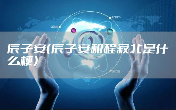 辰子安（辰子安和程寄北是什么梗）