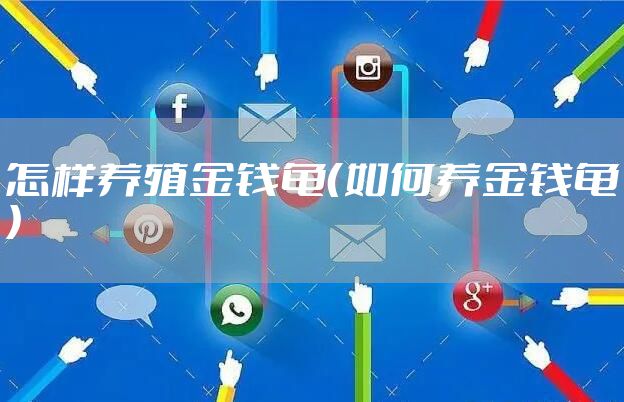 怎样养殖金钱龟（如何养金钱龟）