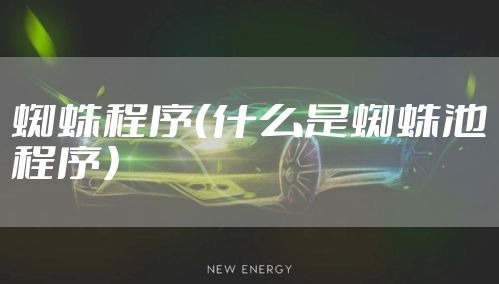 蜘蛛程序（什么是蜘蛛池程序）
