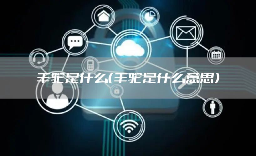 羊驼是什么（羊驼是什么意思）