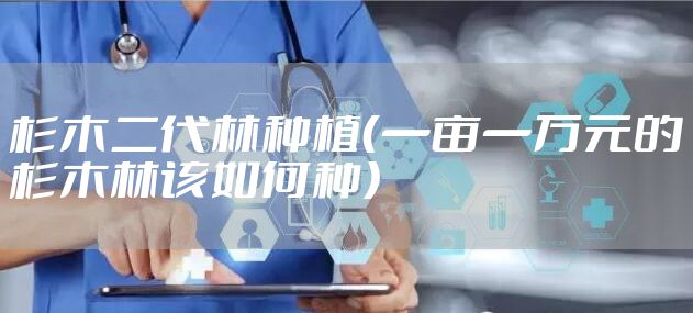 杉木二代林种植（一亩一万元的杉木林该如何种）