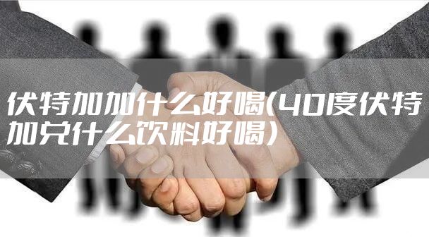 伏特加加什么好喝（40度伏特加兑什么饮料好喝）