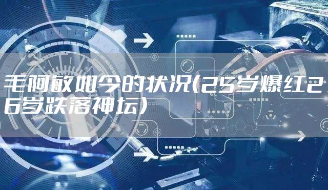 毛阿敏如今的状况（25岁爆红26岁跌落神坛）