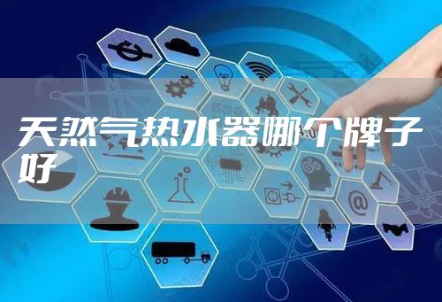 天然气热水器哪个牌子好