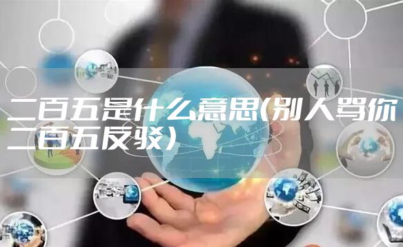 二百五是什么意思（别人骂你二百五反驳）