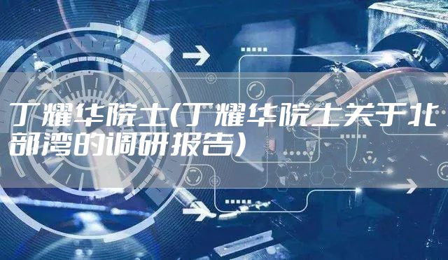 丁耀华院士（丁耀华院士关于北部湾的调研报告）