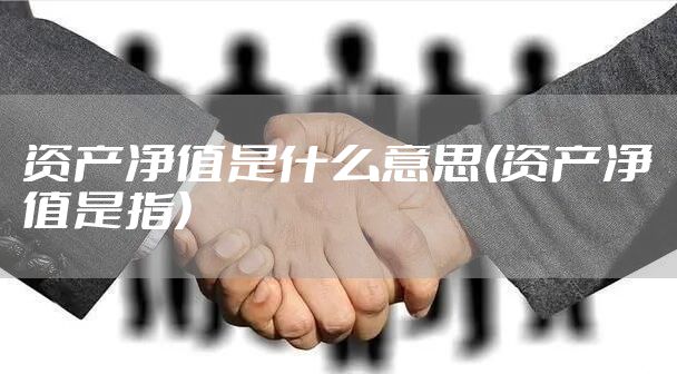 资产净值是什么意思(资产净值是指)