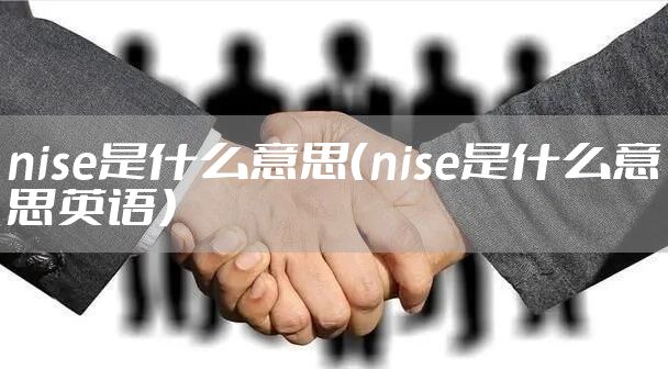 nise是什么意思（nise是什么意思英语）