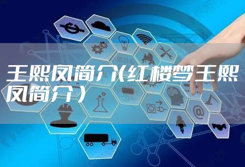 王熙凤简介（红楼梦王熙凤简介 ）