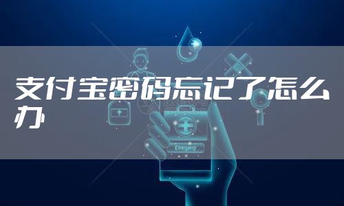 支付宝密码忘记了怎么办