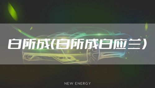白所成（白所成白应兰）