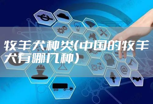 牧羊犬种类（中国的牧羊犬有哪几种）