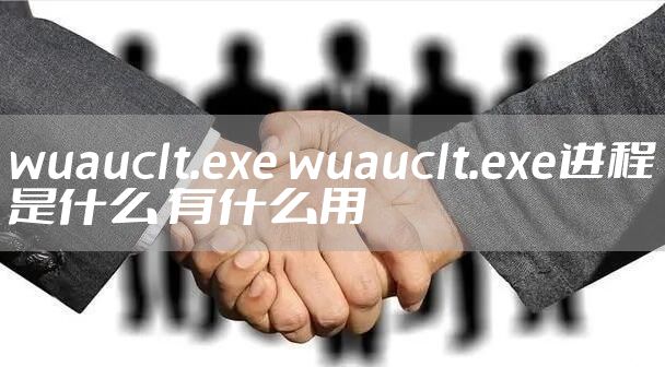 wuauclt.exe wuauclt.exe进程是什么 有什么用