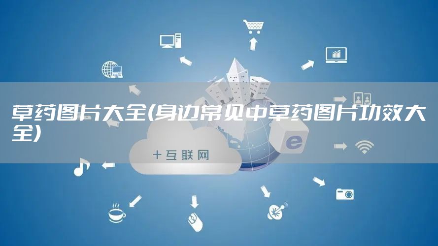 草药图片大全(身边常见中草药图片功效大全)
