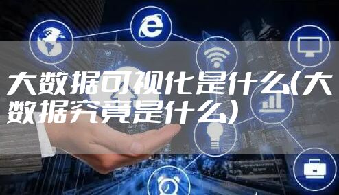 大数据可视化是什么（大数据究竟是什么）