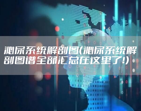 泌尿系统解剖图（泌尿系统解剖图谱全部汇总在这里了！）