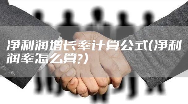 净利润增长率计算公式（净利润率怎么算？）