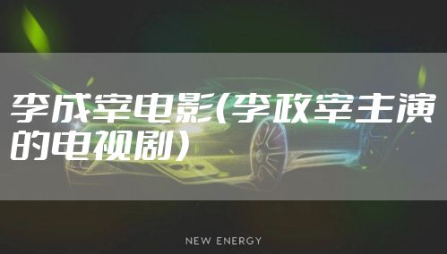李成宰电影（李政宰主演的电视剧）