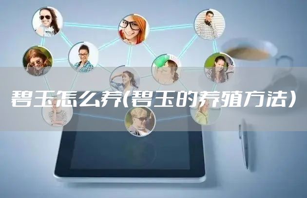 碧玉怎么养（碧玉的养殖方法）