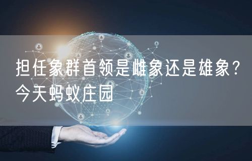 担任象群首领是雌象还是雄象？今天蚂蚁庄园