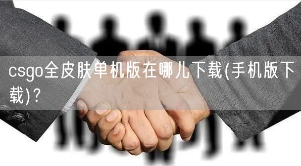 csgo全皮肤单机版在哪儿下载(手机版下载)？