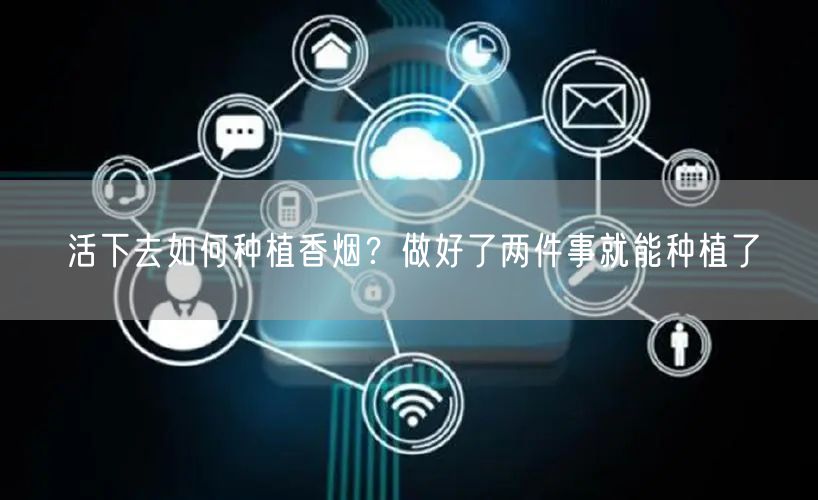 活下去如何种植香烟？做好了两件事就能种植了