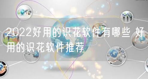 2022好用的识花软件有哪些 好用的识花软件推荐