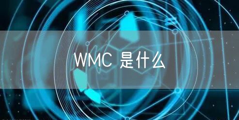 WMC 是什么